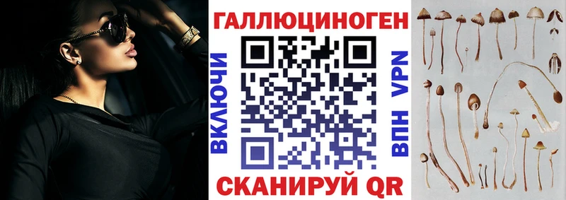 kraken зеркало  Зима  Галлюциногенные грибы ЛСД  что такое  