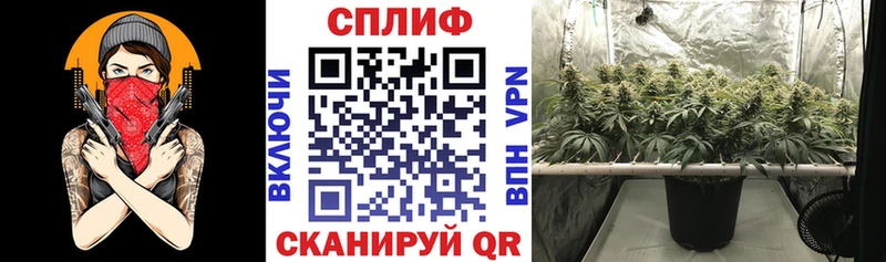 МАРИХУАНА Ganja  Зима 